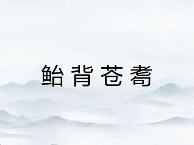 鲐背苍耈