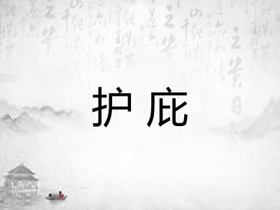 护庇