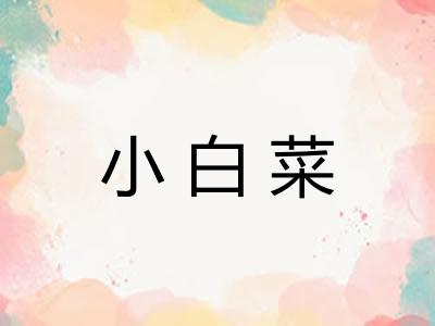 小白菜