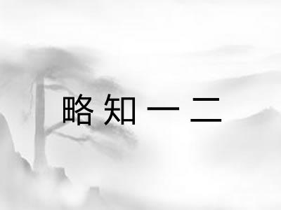 略知一二