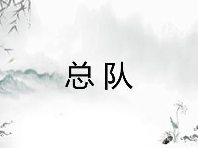 总队