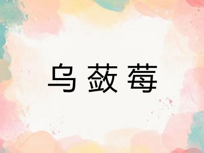 乌蔹莓