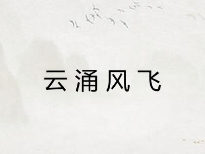 云涌风飞