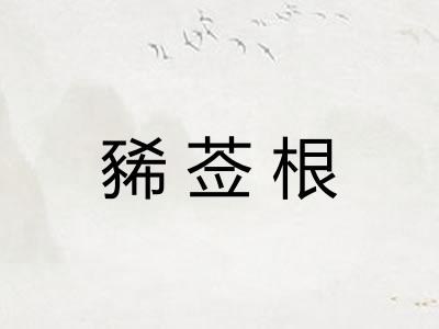 豨莶根
