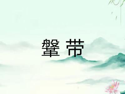 鞶带