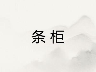 条柜