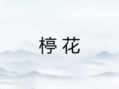 楟花