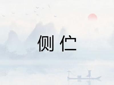 侧伫