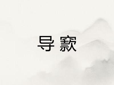 导窾