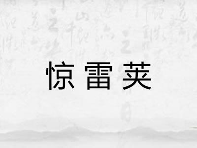惊雷荚