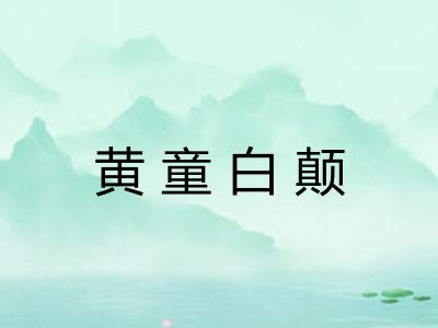 黄童白颠