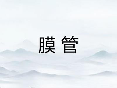 膜管