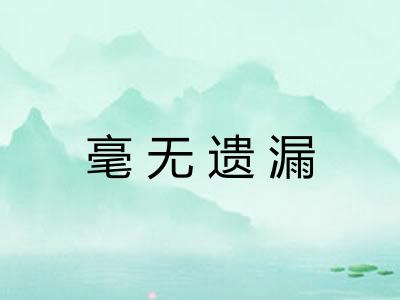毫无遗漏