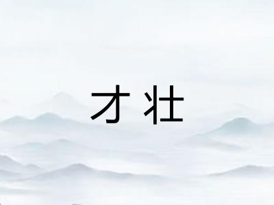 才壮