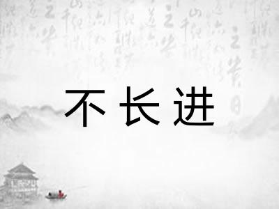 不长进