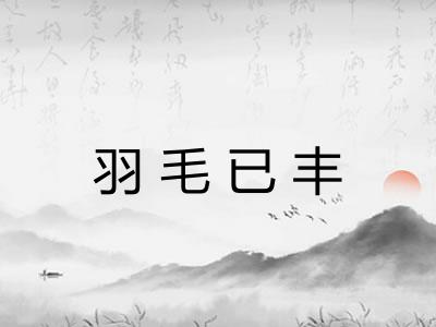 羽毛已丰
