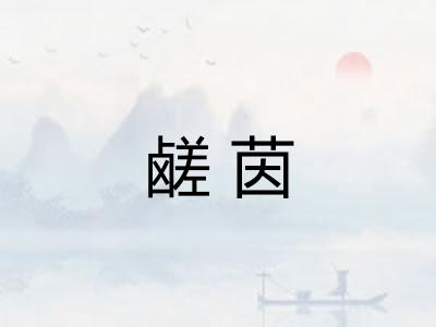 鹾茵