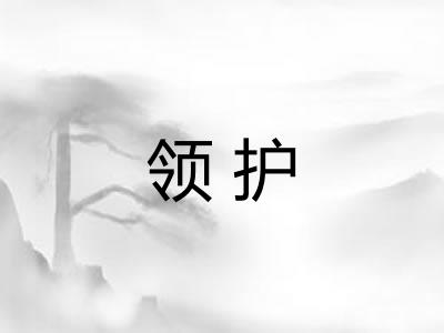领护