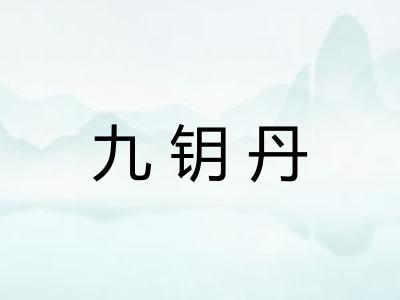 九钥丹