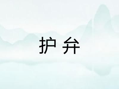 护弁