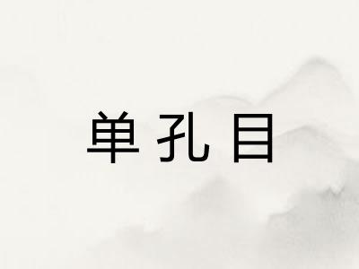 单孔目