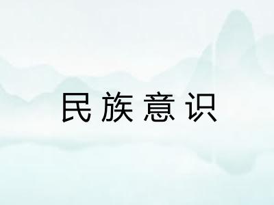 民族意识