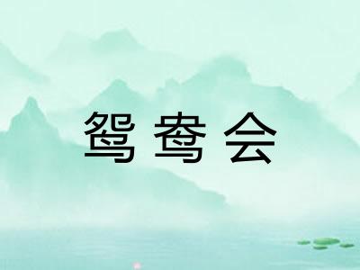 鸳鸯会
