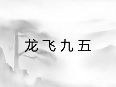 龙飞九五