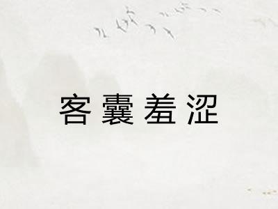 客囊羞涩