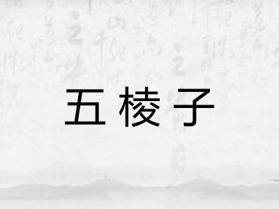 五棱子