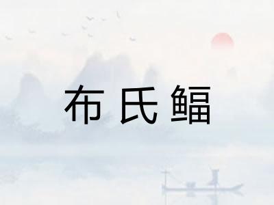布氏鲾