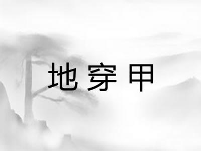 地穿甲