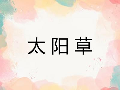 太阳草
