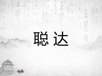 聪达