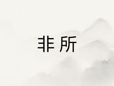 非所