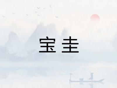 宝圭