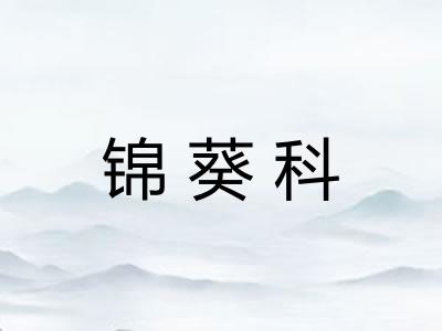 锦葵科