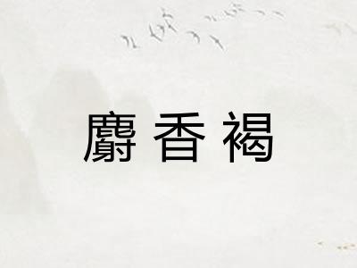 麝香褐