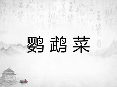 鹦鹉菜