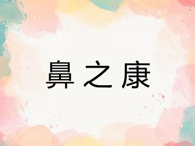 鼻之康