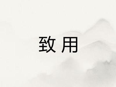 致用