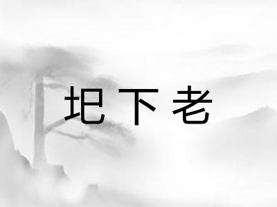 圯下老