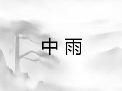中雨