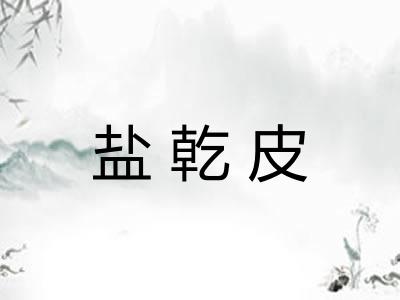 盐乾皮