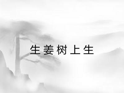生姜树上生