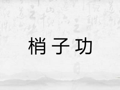 梢子功