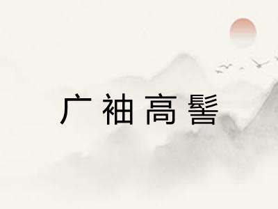 广袖高髻
