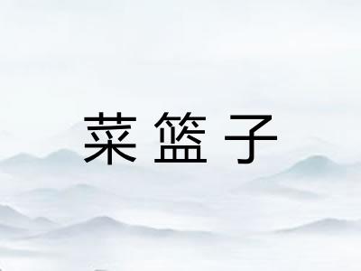 菜篮子
