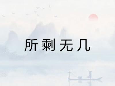 所剩无几