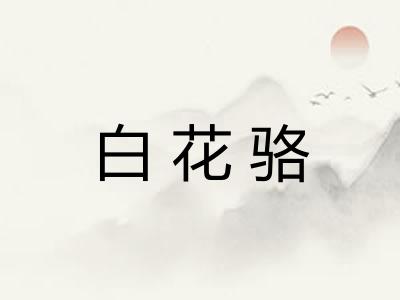 白花骆